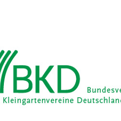 BKD informiert 11/2023